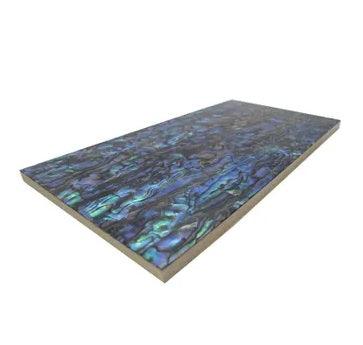 Large 200mm x 100mm Paua Shell Tile - ShopNZ
