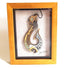 Framed Maori Fish Hook - Te Matau a Maui