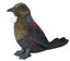 Tui Bird Soft Toy with Sound