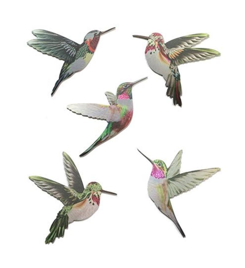 Pretty Set of 5 Hummingbirds Wall Art - ShopNZ