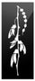 Kowhai Flower Aluminium Panel