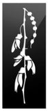 Kowhai Flower Aluminium Panel - ShopNZ