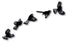 Flying Flock of Fantails Wall Art - ShopNZ