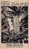 NZ Tane Mahuta Kauri Tree Wooden Postcard - ShopNZ