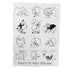Fun Kiwis of NZ Tea Towel - ShopNZ