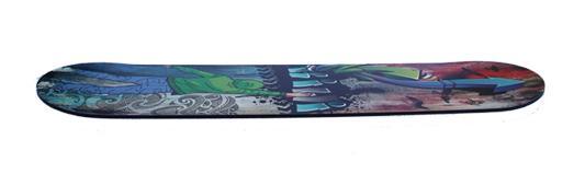 Graffiti Kiwi NZ Skateboard Art - ShopNZ
