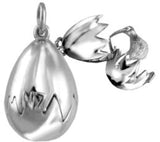 Kiwi in Egg Moving Sterling Silver Pendant or Charm - ShopNZ