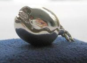 Moving Sterling Silver Tuatara Reptile Pendant or Charm - ShopNZ