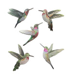 Pretty Set of 5 Hummingbirds Wall Art - ShopNZ