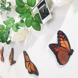 Pretty Monarch Butterfly Wall Art - ShopNZ