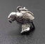 Sterling Silver NZ Kakapo Parrot Charm