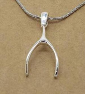 Sterling Silver NZ Wishbone Necklace - ShopNZ