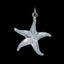 Sterling Silver NZ Starfish Charm