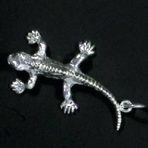 Sterling Silver Tuatara Charm - ShopNZ