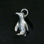 Sterling Silver Yellow-Eyed Penguin Charm