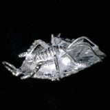 Sterling Silver NZ Weta Charm - ShopNZ