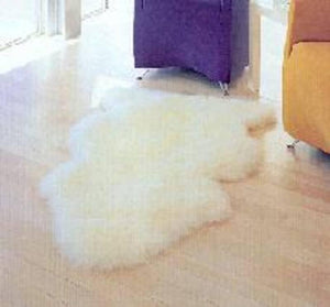 New Zealand Sheepskin Floor Rug - ShopNZ