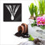 Square Nikau Indoor Outdoor Panels