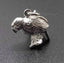 Sterling Silver NZ Kakapo Parrot Charm